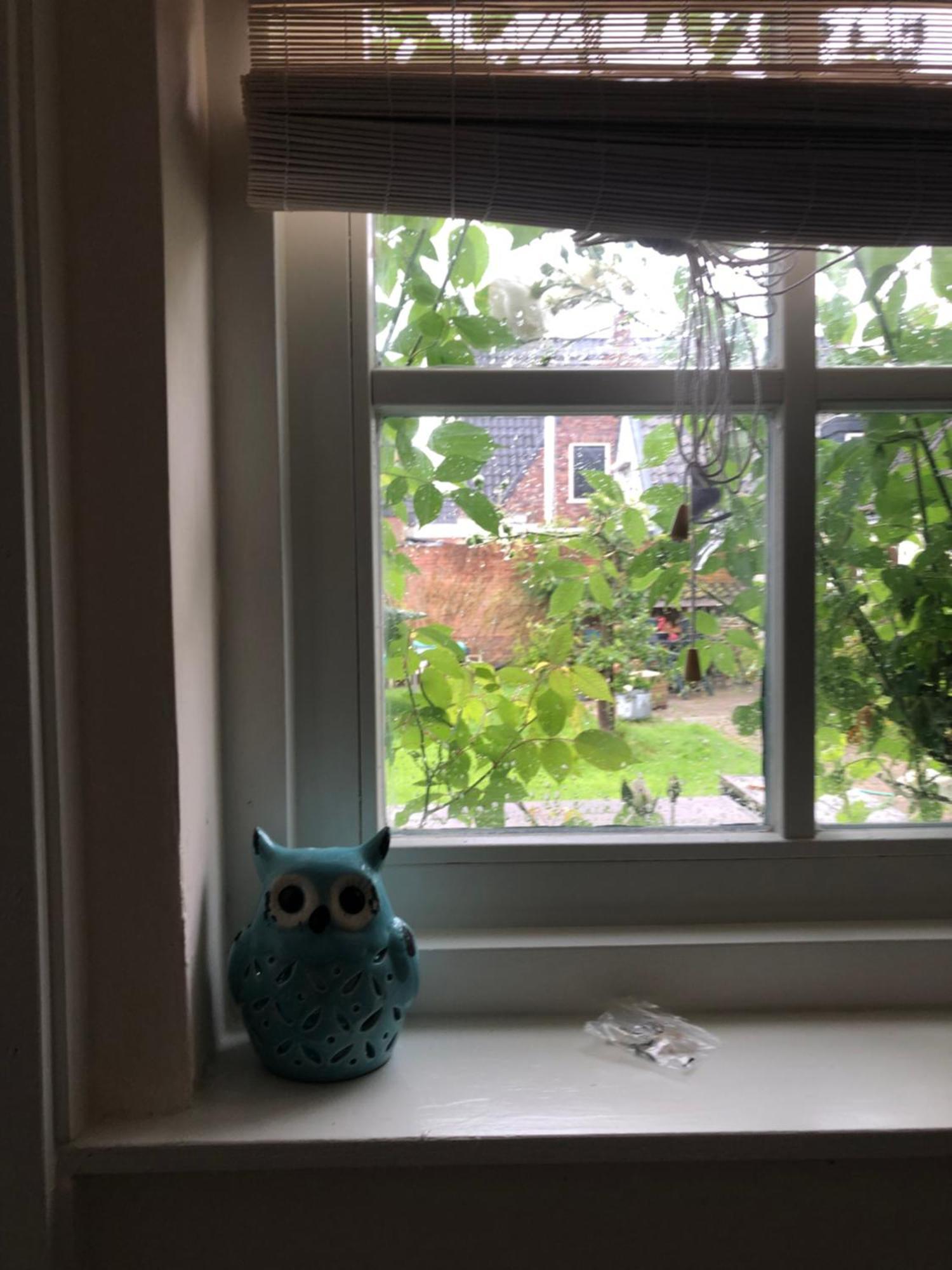 Appartement In Schuur Twisk Exteriör bild