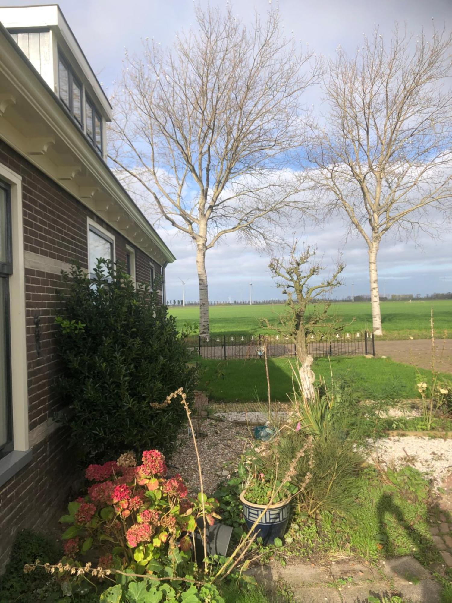 Appartement In Schuur Twisk Exteriör bild